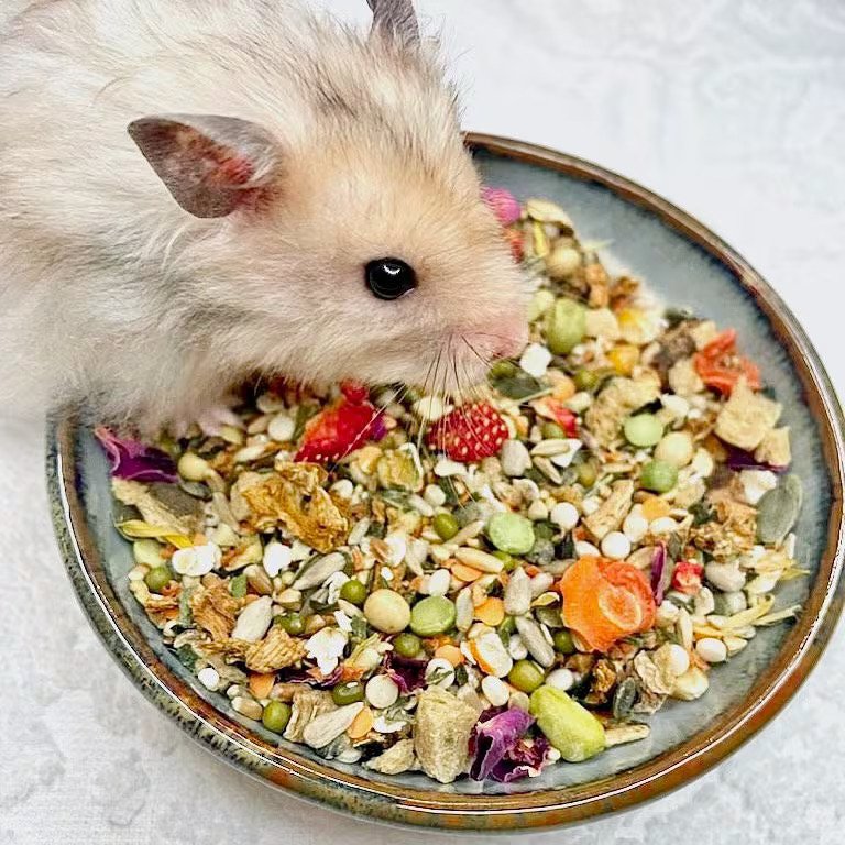 Food & Treats