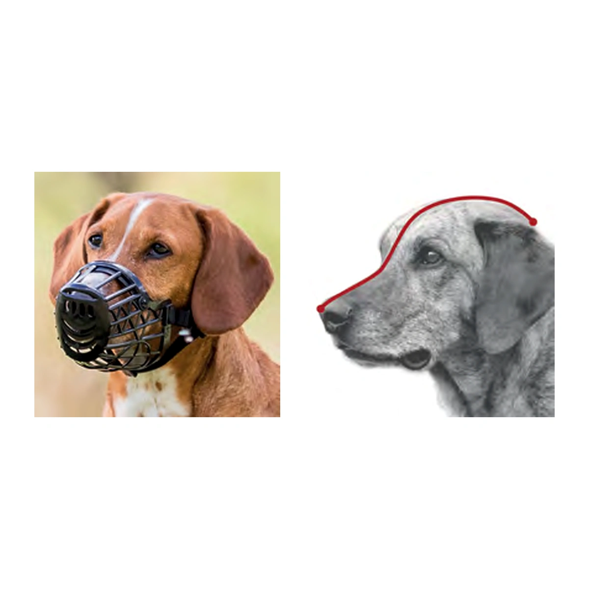 Trixie Muzzle Plastic L B ack