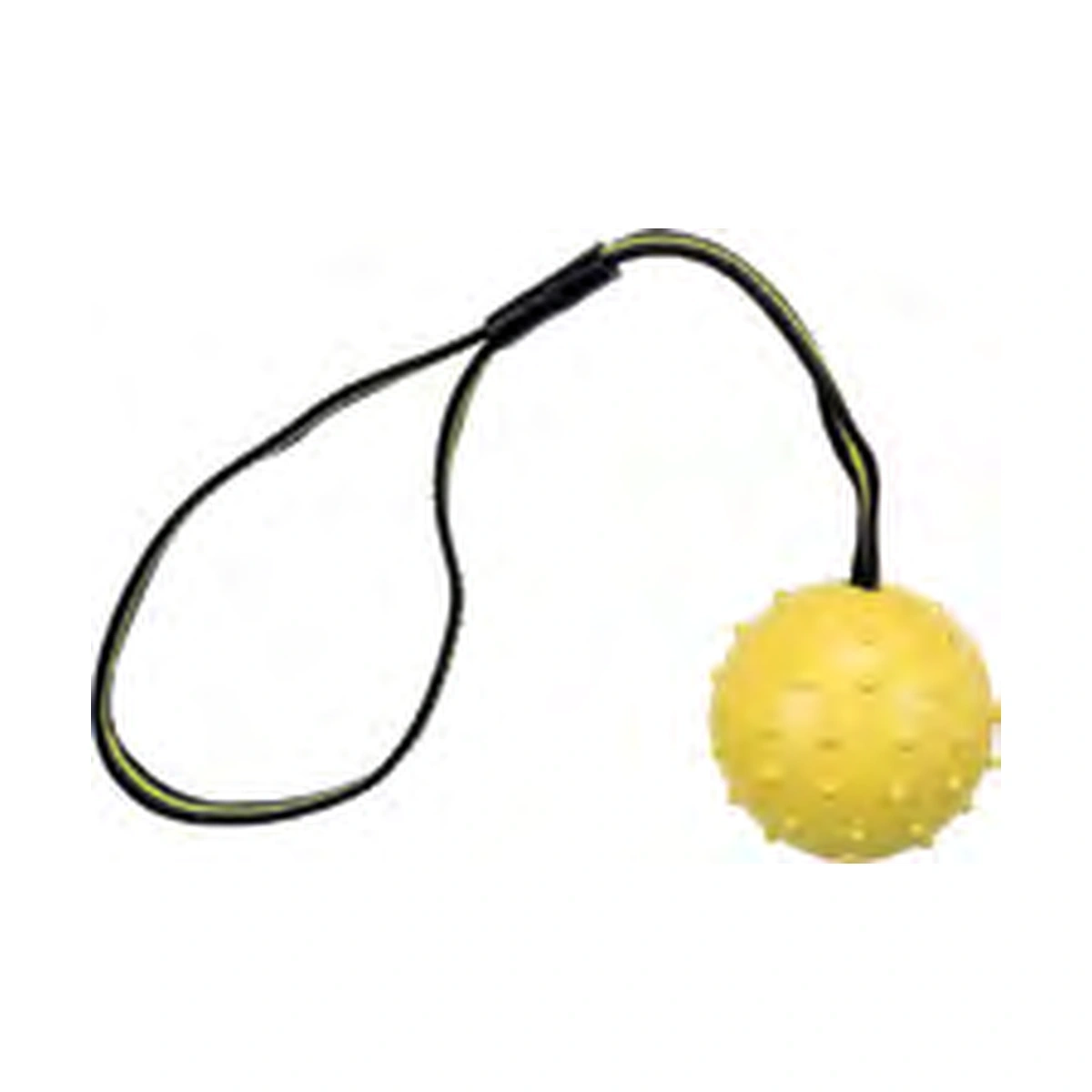 Trixie Ball on a Strap Dog Toy